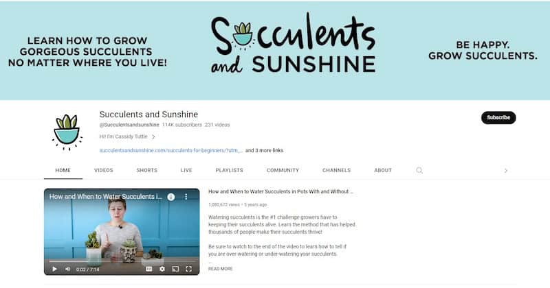 The YouTube homepage of Succulents and Sunshine, a popular succulent and cactus gardening channel that is also a popular website and social media sensation.