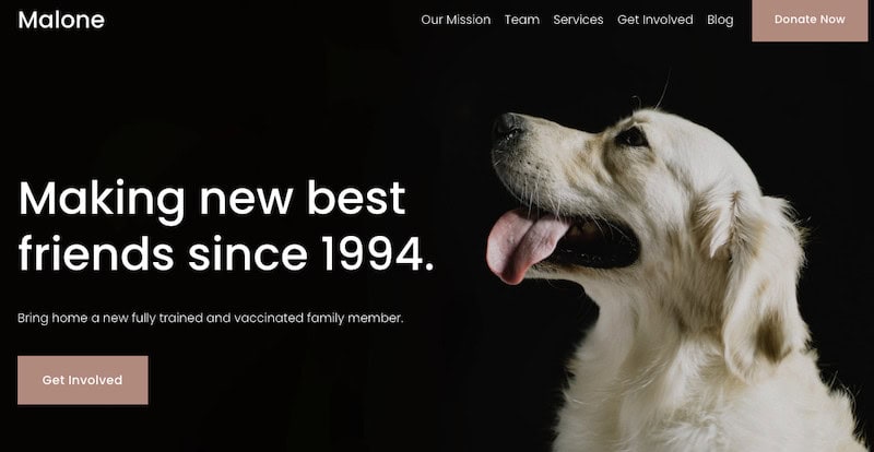 An example of a Squarespace pet care blog website template. 