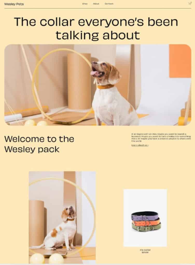 An example of a pet care blog someone created using Squarespace. 