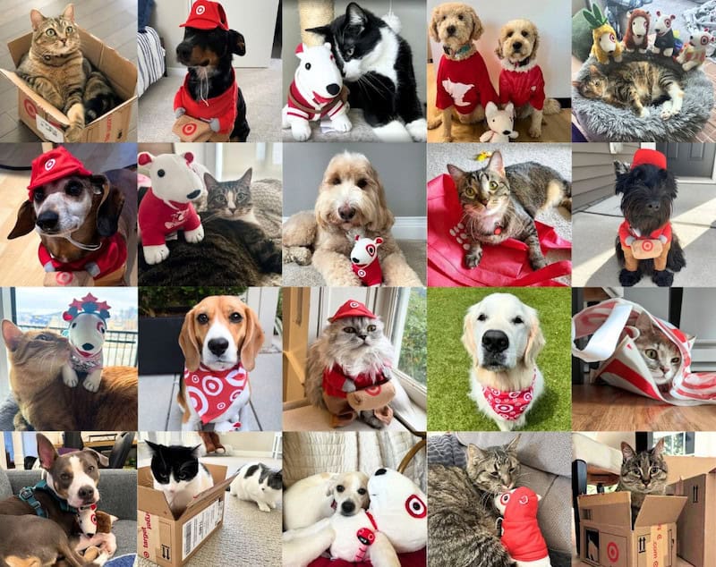 A collage of dogs promoting Target. 