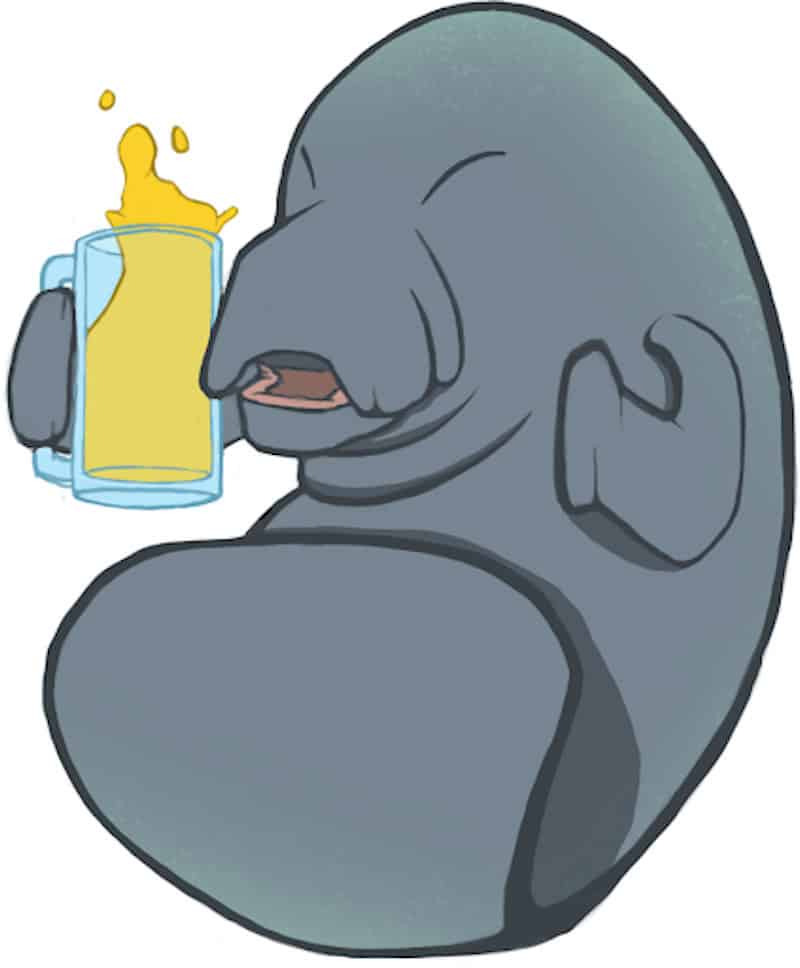 A cartoon walrus drinking a pint of seagrass-flavored beer. 