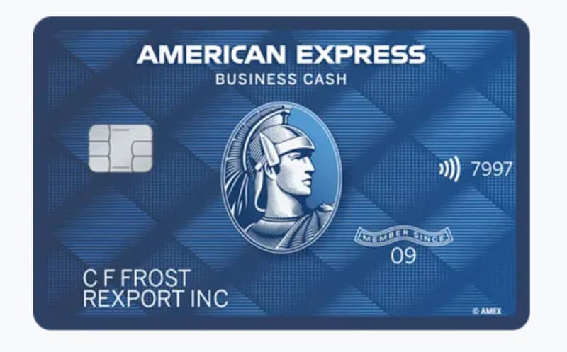 The American Express Blue Business Cash credit cards makes it easy for eCommerce business owners to earn cash back. 